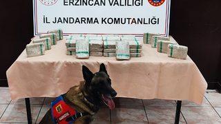 Erzincan'da tır dorsesinde 25 kilo 720 gram uyuşturucu ele geçirildi