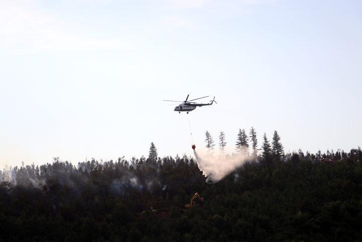 GÜNCELLEME - Sakarya'da çıkan orman yangını kontrol altına alındı G1
