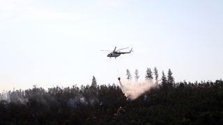 GÜNCELLEME - Sakarya'da çıkan orman yangını kontrol altına alındı