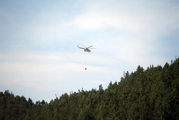 GÜNCELLEME - Sakarya'da çıkan orman yangını kontrol altına alındı G2
