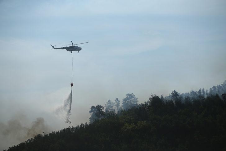 GÜNCELLEME - Sakarya'da çıkan orman yangını kontrol altına alındı G3