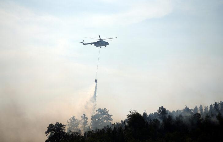 GÜNCELLEME - Sakarya'da çıkan orman yangını kontrol altına alındı G4