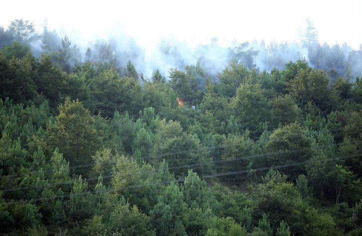 GÜNCELLEME - Sakarya'da çıkan orman yangını kontrol altına alındı G5