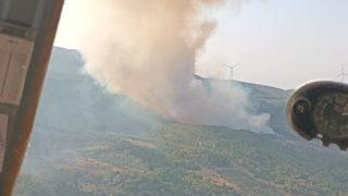 Aydın'da çıkan orman yangınına müdahale ediliyor