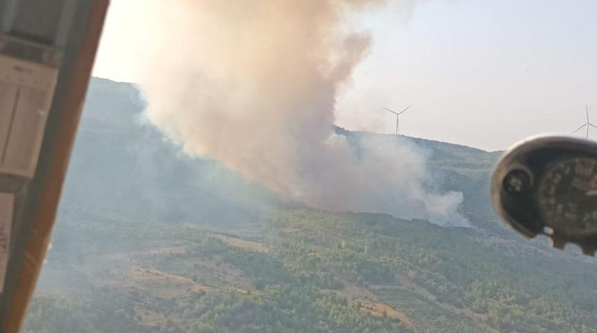 Aydın'da çıkan orman yangınına müdahale ediliyor