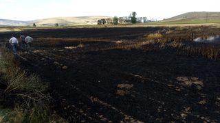 Tokat'ta buğday ekili tarlada çıkan yangın söndürüldü