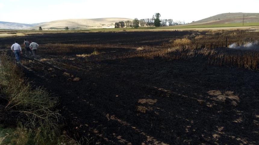 Tokat'ta buğday ekili tarlada çıkan yangın söndürüldü