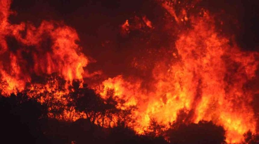 Son dakika: Aydın'da orman yangını! Havadan ve karadan müdahale sürüyor: Kısa sürede yayıldı