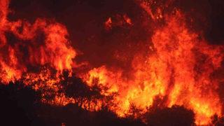 Son dakika: Aydın'da orman yangını! Havadan ve karadan müdahale sürüyor: Kısa sürede yayıldı