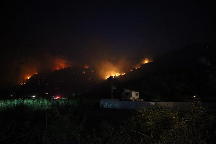 GÜNCELLEME 2 - Aydın'da çıkan orman yangınına müdahale ediliyor G3