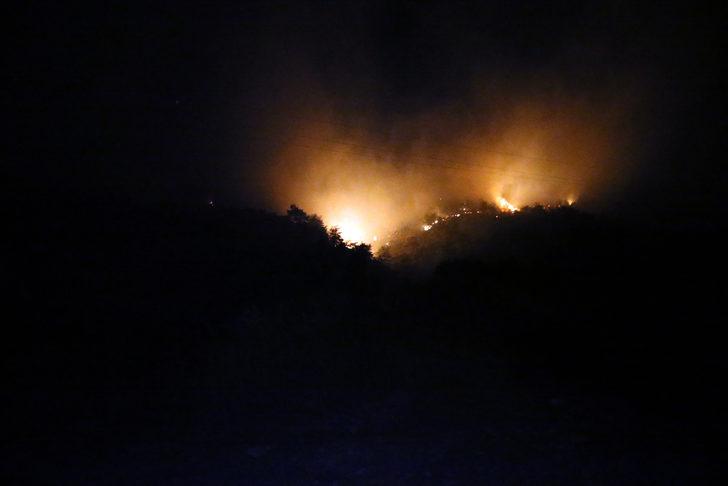 GÜNCELLEME 2 - Aydın'da çıkan orman yangınına müdahale ediliyor G5