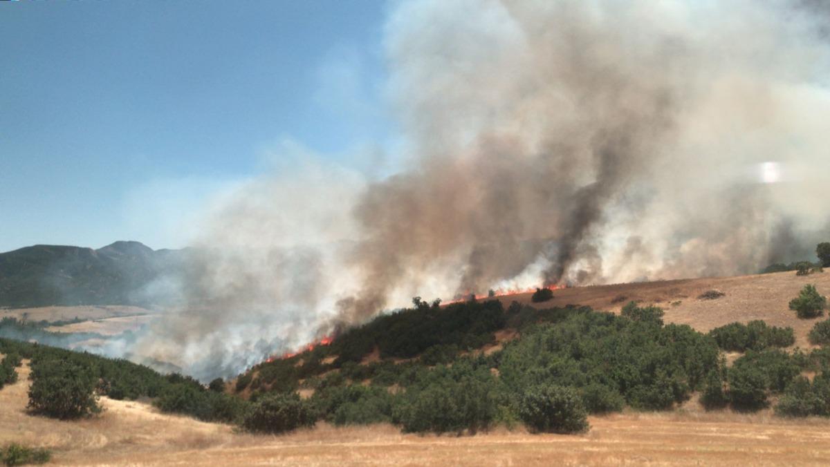 Bing&ouml;l'de &ccedil;ıkan orman yangınları s&ouml;nd&uuml;r&uuml;ld&uuml;