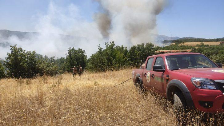 Bingöl'de çıkan orman yangınları söndürüldü G2