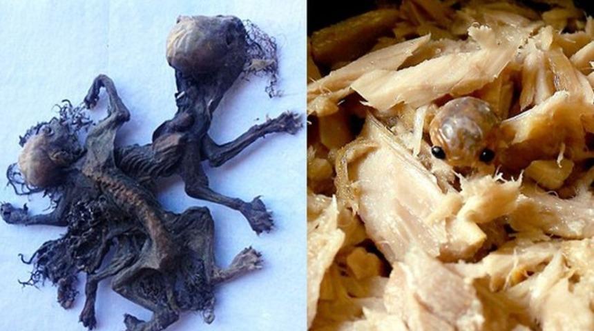 D&uuml;nyadan iki garip haber!