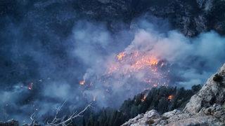 GÜNCELLEME - Mersin'deki orman yangını kontrol altına alındı