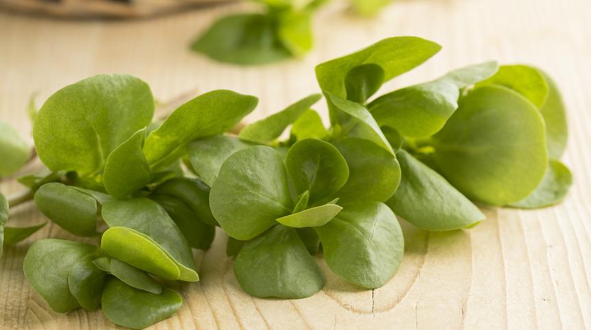 Etkisi ilaç gibi! Bu faydalarını bir bilseniz...