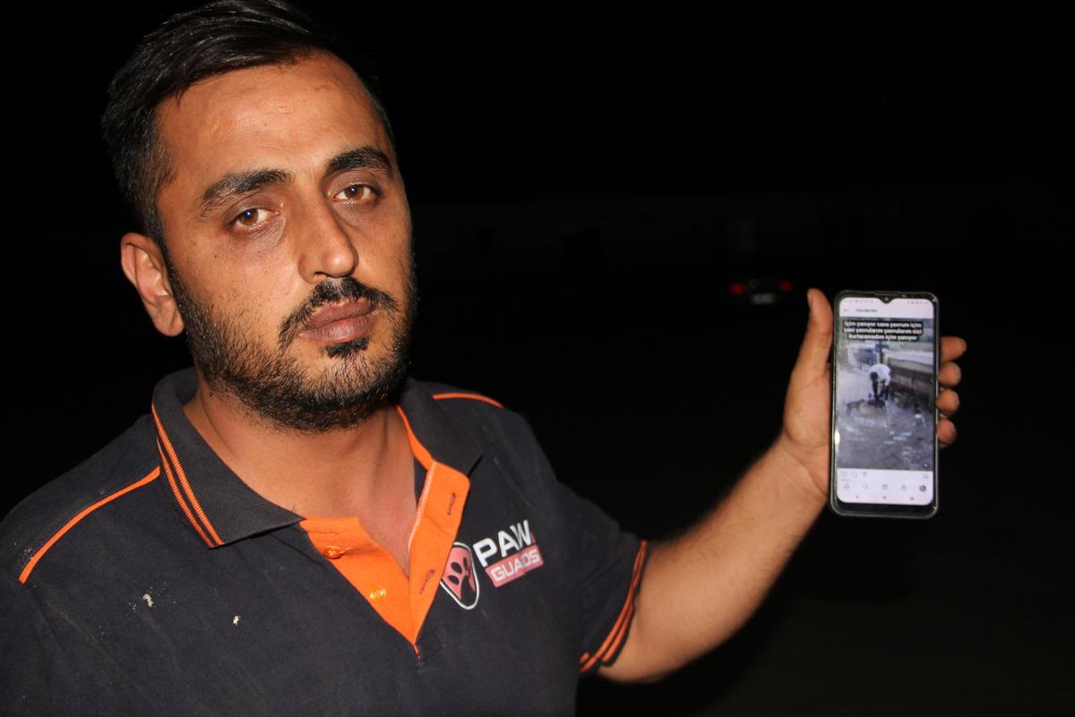 Hatay'da 5 k&ouml;pek yavrusunun telef edilmiş halde bulunmasıyla ilgili soruşturma s&uuml;r&uuml;yor