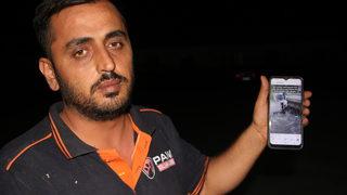 Hatay'da 5 köpek yavrusunun telef edilmiş halde bulunmasıyla ilgili soruşturma sürüyor