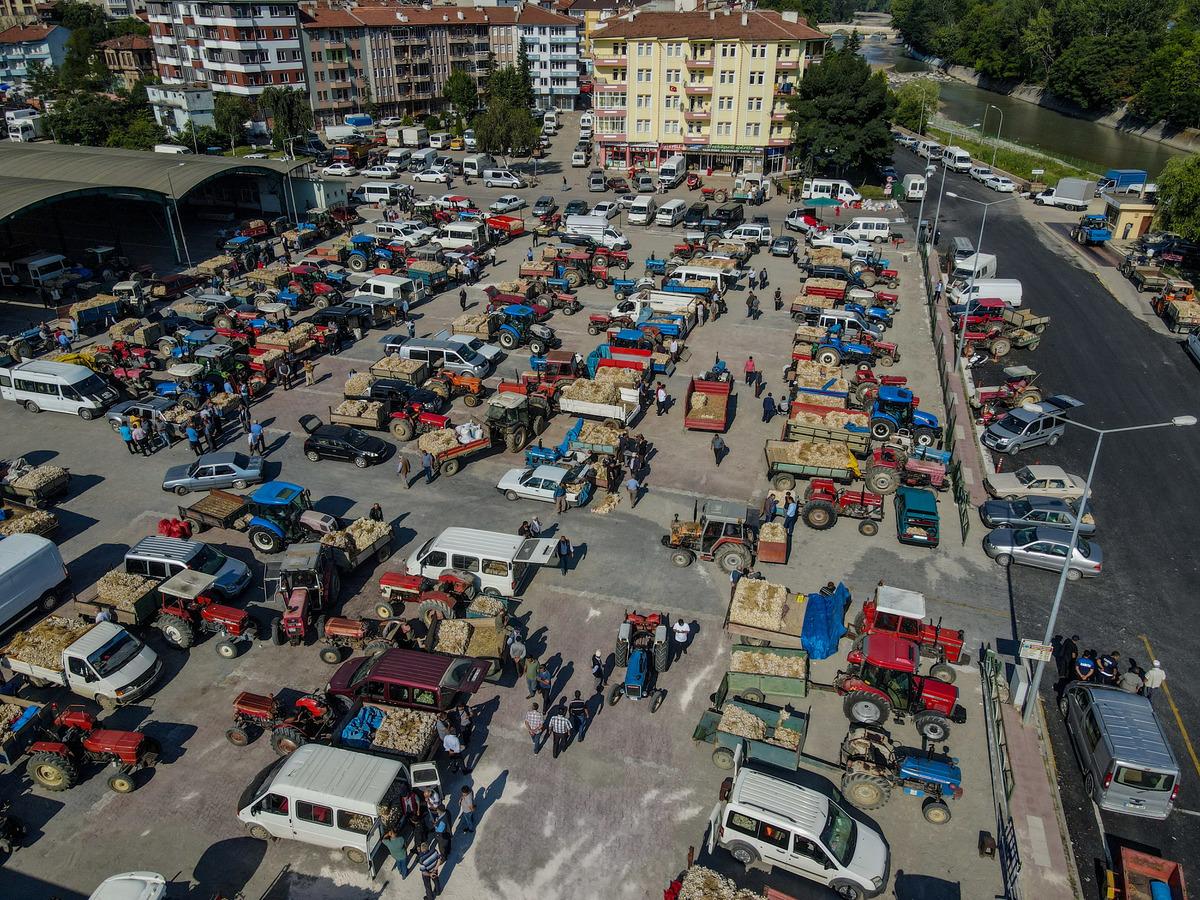 Taşk&ouml;pr&uuml; sarımsağı 20 ile 41,5 lira arasında alıcı buluyor