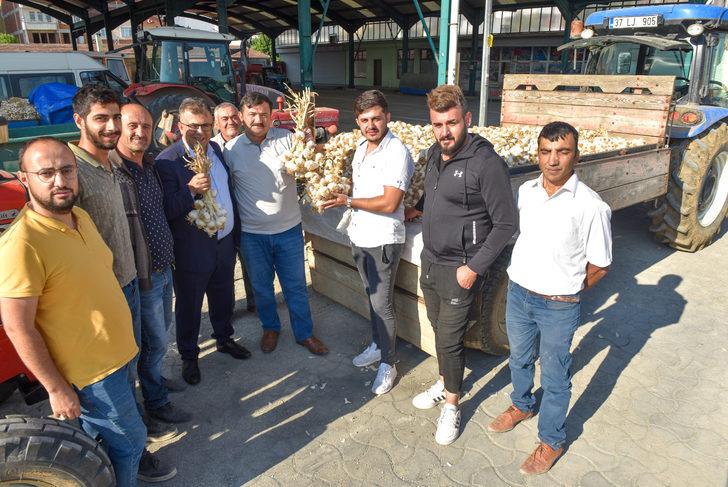 Taşköprü sarımsağı 20 ile 41,5 lira arasında alıcı buluyor G2