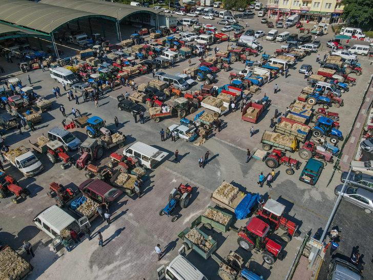 Taşköprü sarımsağı 20 ile 41,5 lira arasında alıcı buluyor G3
