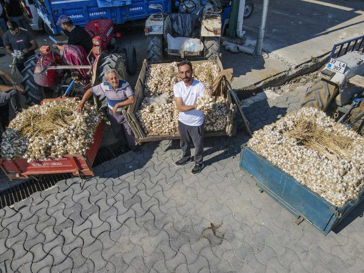 Taşköprü sarımsağı 20 ile 41,5 lira arasında alıcı buluyor G5