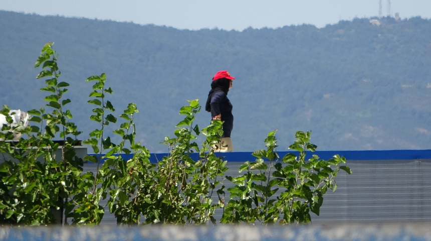 Tuzla'da fabrika eylemi! 'Sadaka istemiyorum hakkımı istiyorum' deyip çatıya çıktı