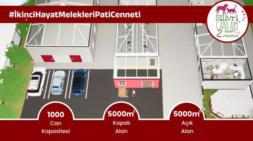 İkinci Hayat Melekleri Pati Cenneti ile 1000 Patili Dost İçin Birlik Olma Zamanı!
