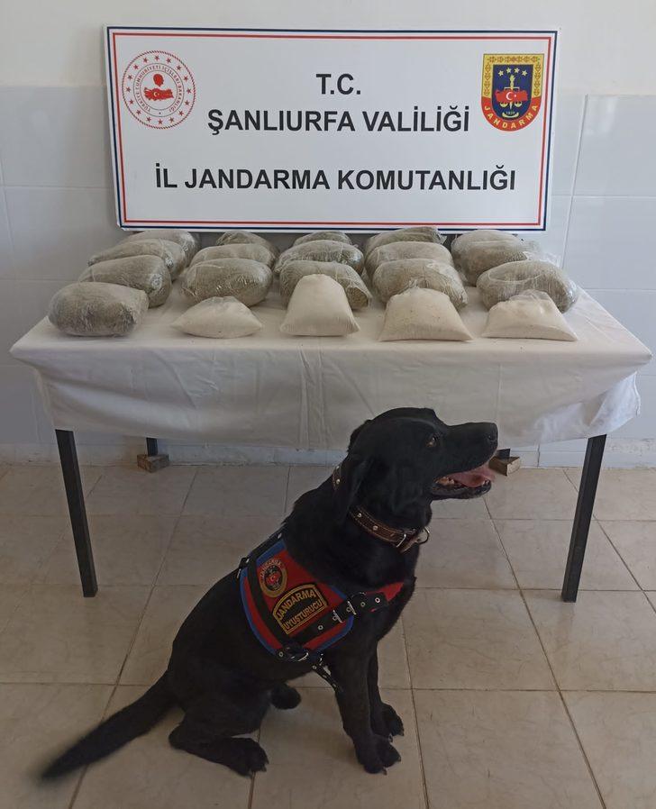 Şanlıurfa'da 21 kilogram sentetik uyuşturucu ele geçirildi