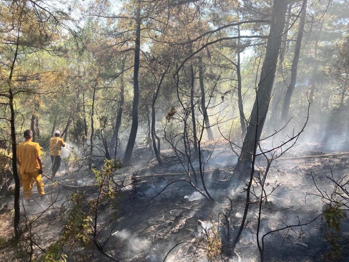 Balıkesir'de &ccedil;ıkan orman yangını s&ouml;nd&uuml;r&uuml;ld&uuml;