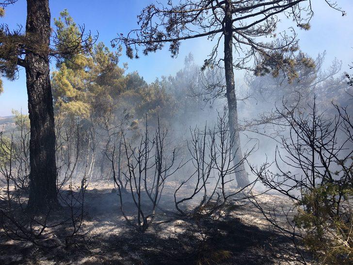 Balıkesir'de çıkan orman yangını söndürüldü G2