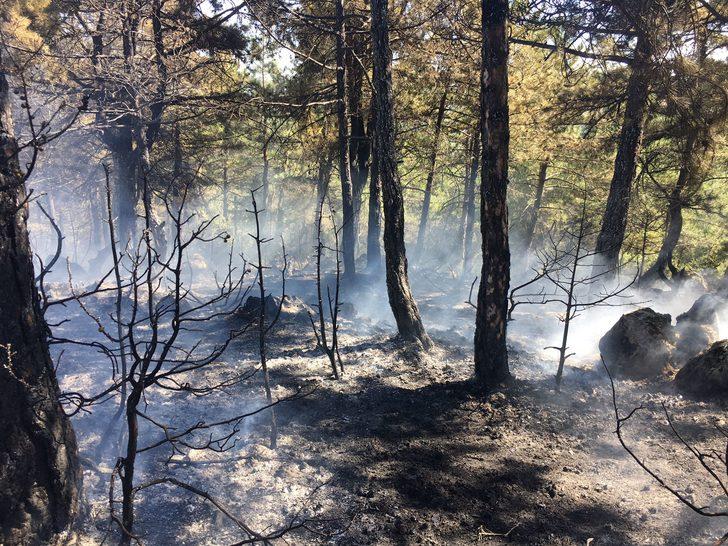 Balıkesir'de çıkan orman yangını söndürüldü G3