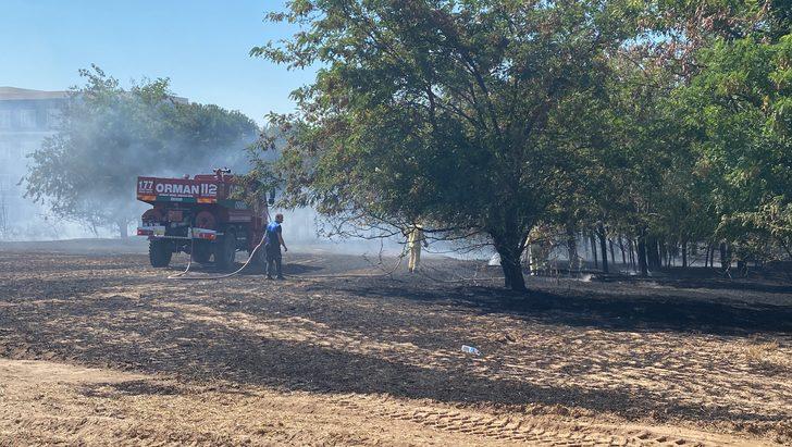 Tekirdağ'da buğday tarlası ve ormanlık alanda çıkan yangın söndürüldü G3