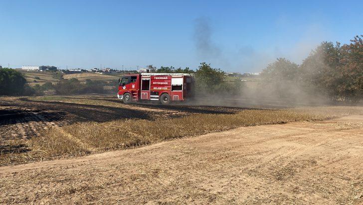 Tekirdağ'da buğday tarlası ve ormanlık alanda çıkan yangın söndürüldü G4