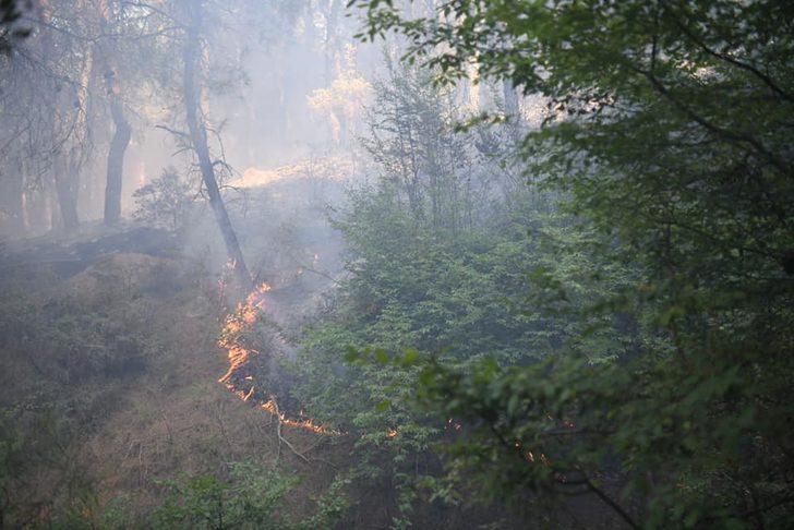 Edirne'de çıkan orman yangını söndürüldü G1