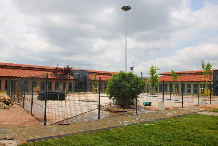 Sakarya'daki merkezde yılda 10 bin sahipsiz hayvan tedavi edilecek G4