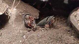 Osmaniye'de trafonun kablolarının çalınması nedeniyle çok sayıda ev karanlıkta kaldı