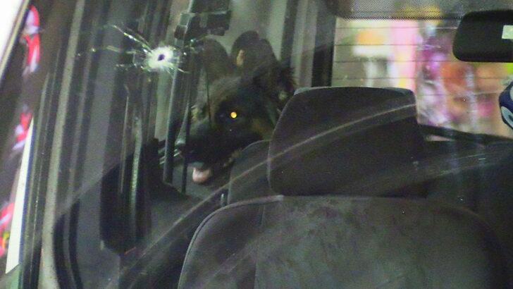 Adana'da otomobile silahla ateş açılması sonucu 1 kişi ağır yaralandı G4