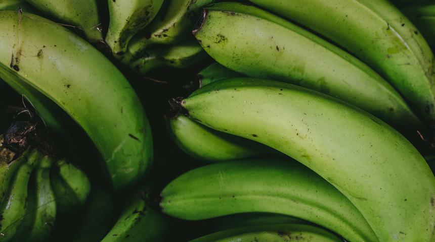 Günde bir tane yemeniz yeterli! Kanseri defediyor