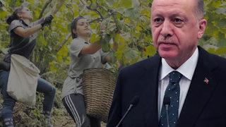 Cumhurbaşkanı Erdoğan açıklayacak! Fiyatı 3.5 dolar olur mu?