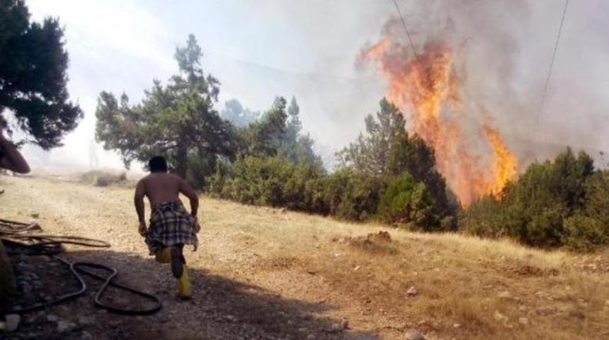 Isparta'da piknik ateşi ormanı yaktı: 3 gözaltı