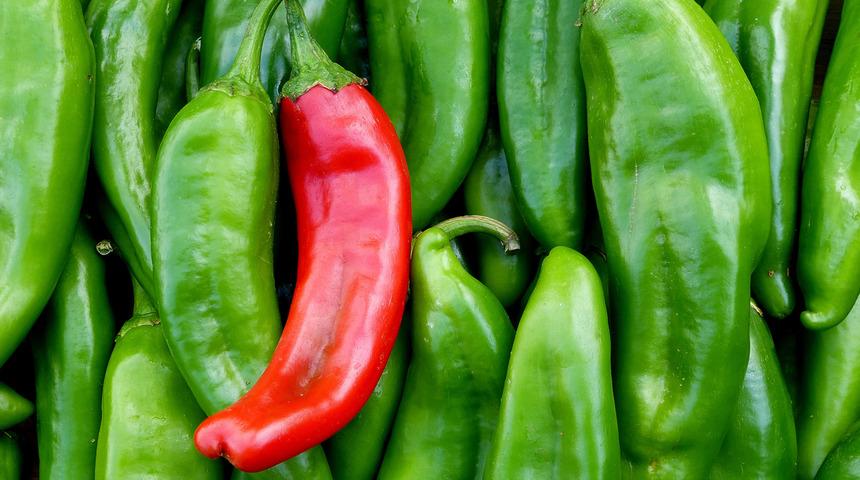 Faydasını öğrenince yemeden duramayacaksınız! Stresi azaltır, kolon kanserini önler, bağışıklığı çelik gibi yapar... Yeşil biberin faydaları nelerdir?