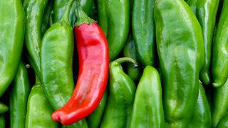 Faydasını öğrenince yemeden duramayacaksınız! Stresi azaltır, kolon kanserini önler, bağışıklığı çelik gibi yapar... Yeşil biberin faydaları nelerdir?