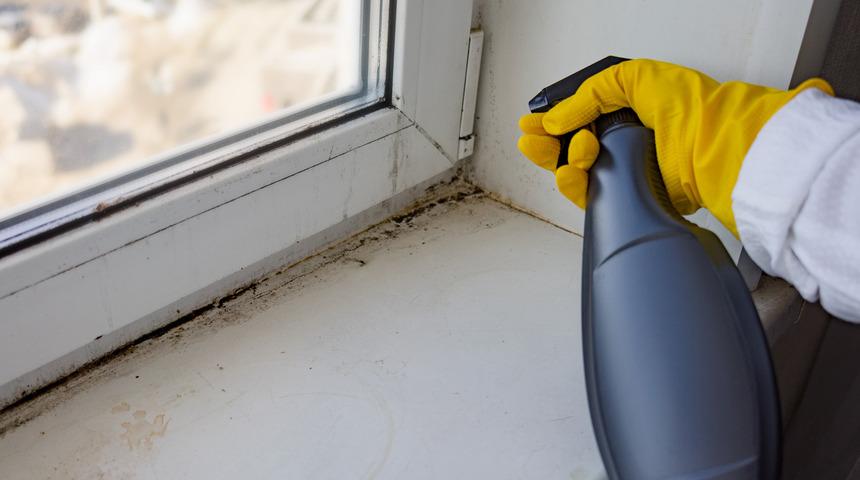 Evdeki malzemelerle kendi temizleyicinizi yapın! İnat&ccedil;ı lekeleri s&ouml;ker atar, camları tertemiz yapar