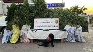 Sinop'ta 19 kilogram kubar esrar ele geçirildi