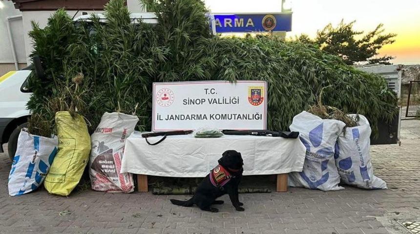 Sinop'ta 19 kilogram kubar esrar ele geçirildi