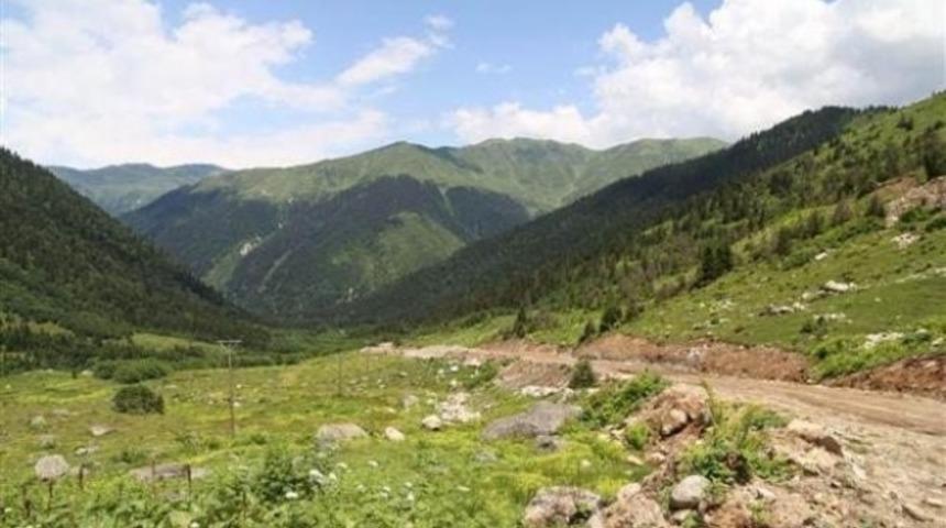 Sadece yeşil yol değil mavisi de var moru da