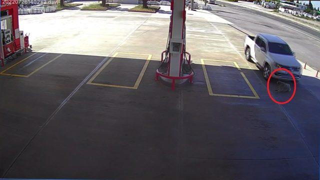 Bunun adı vahşet! Köpeği ezmek için yolunu değiştiren sürücü akıllara durgunluk verdi