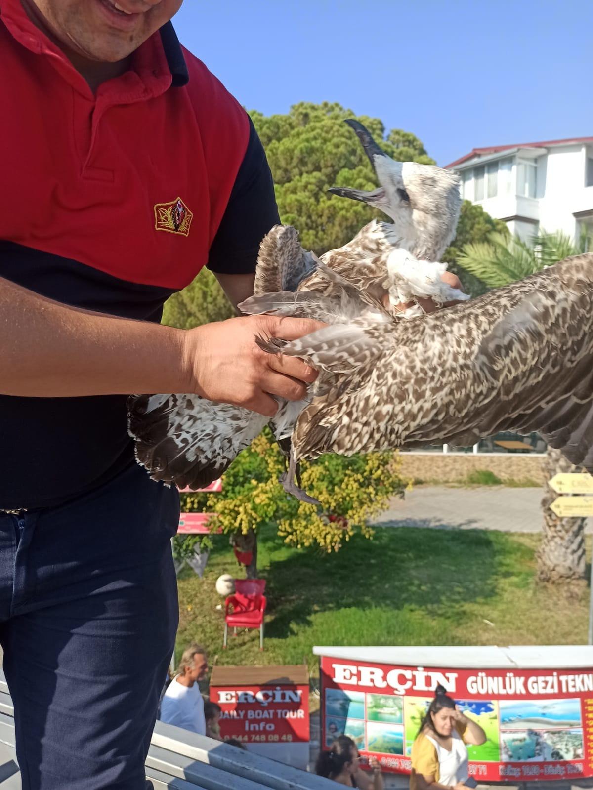 Muğla itfaiyesinden hayvan kurtarma mesaisi