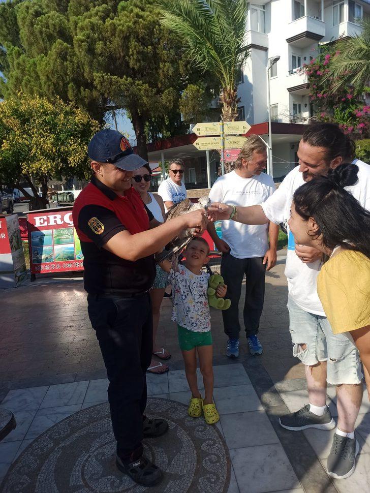 Muğla itfaiyesinden hayvan kurtarma mesaisi G2